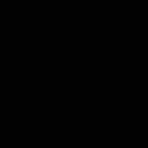 Meet your Posher, Sydni